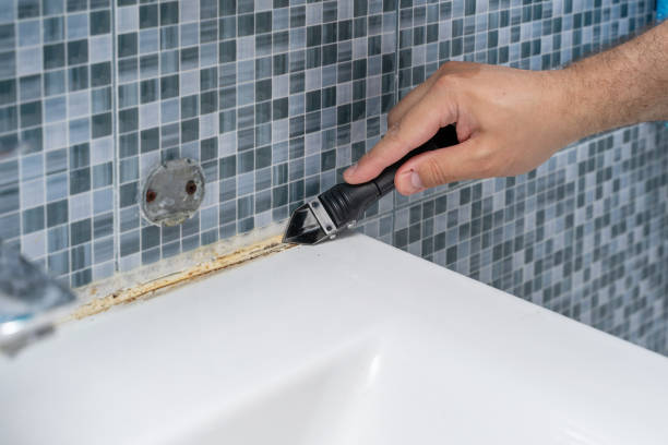 Best Mold Damage Repair  in Sparks, TX