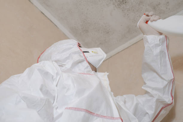 Best Crawl Space Mold Removal  in Sparks, TX