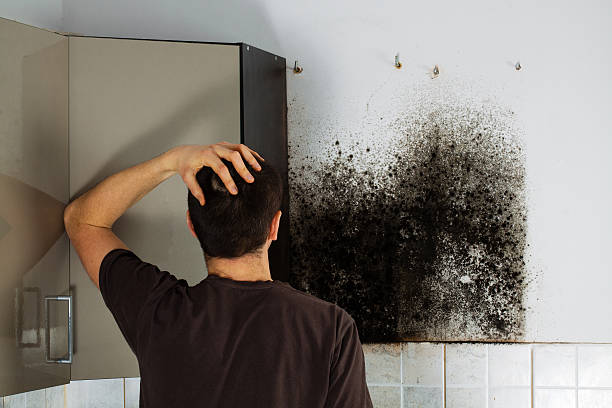 Best Mold Removal Near Me  in Sparks, TX